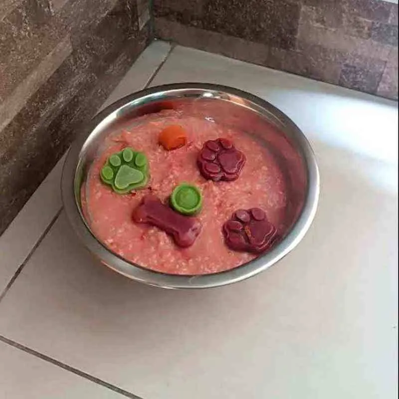 Vives en Tumbaco y quieres dar comida natural: así funciona, sin complicarte