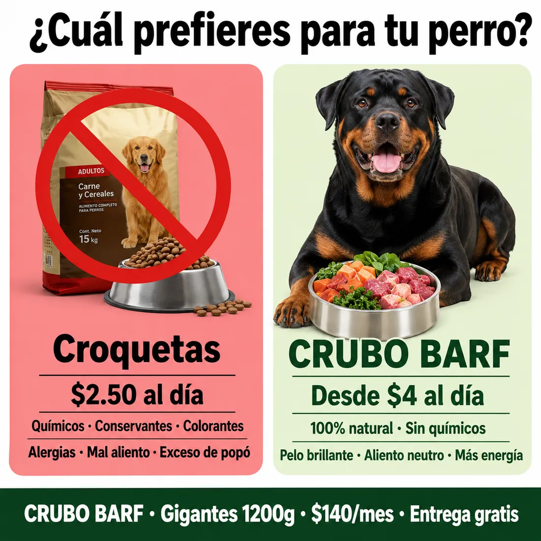 BARF a domicilio en Quito: cómo recibir la comida de tu perro sin moverte de casa